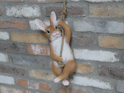 Hanging Rabbit