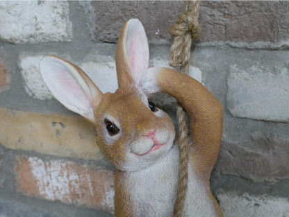 Hanging Rabbit