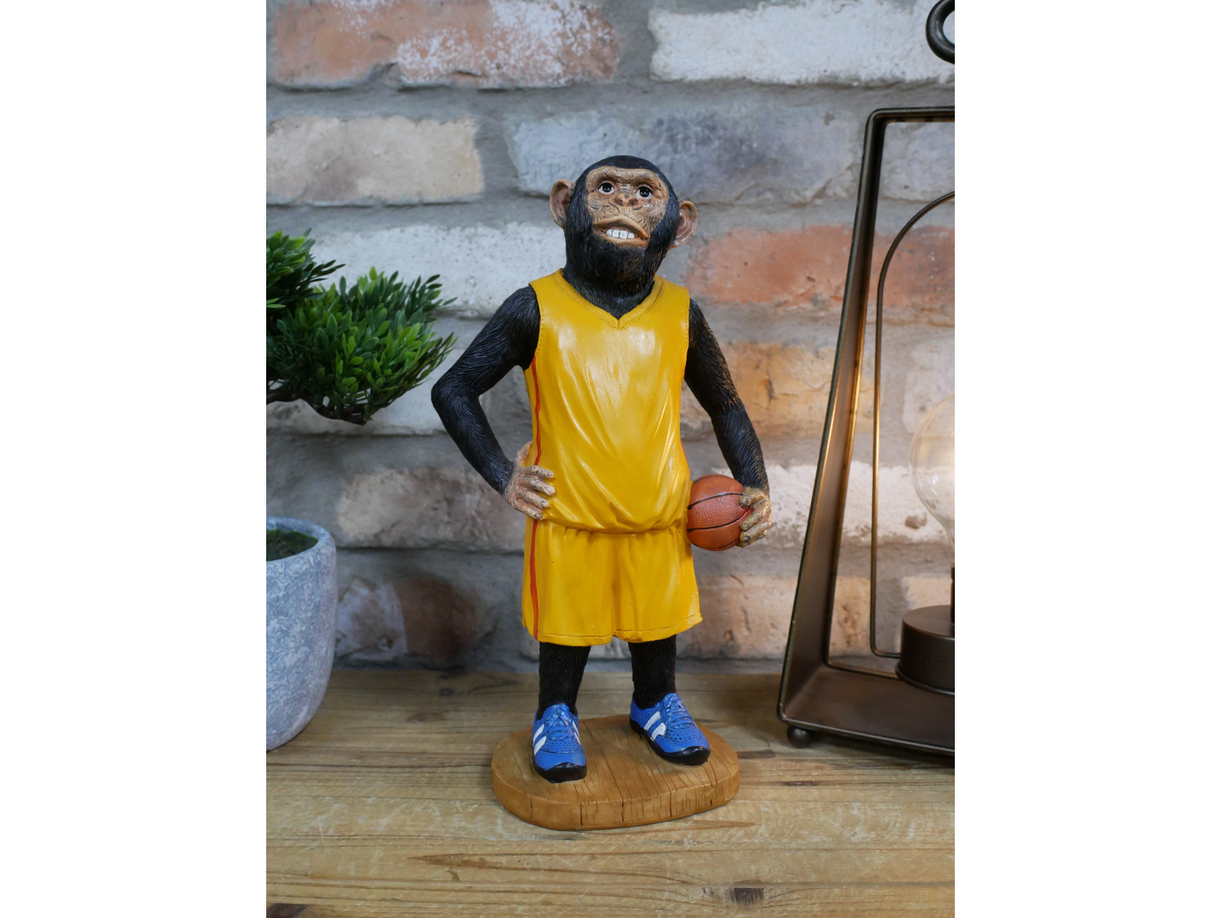 Basketball Monkey