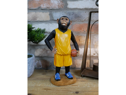 Basketball Monkey