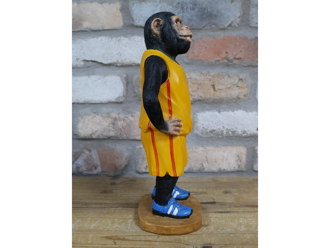 Basketball Monkey