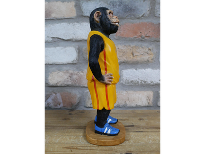 Basketball Monkey