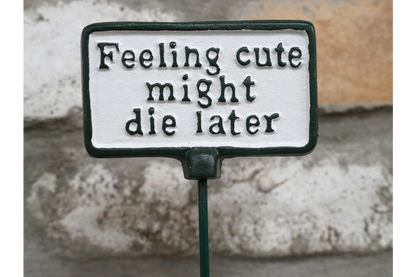 Plant Sign - Feeling Cute