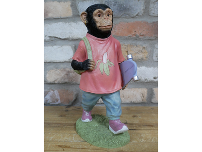 Skater Monkey