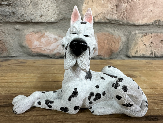 Dalmatian