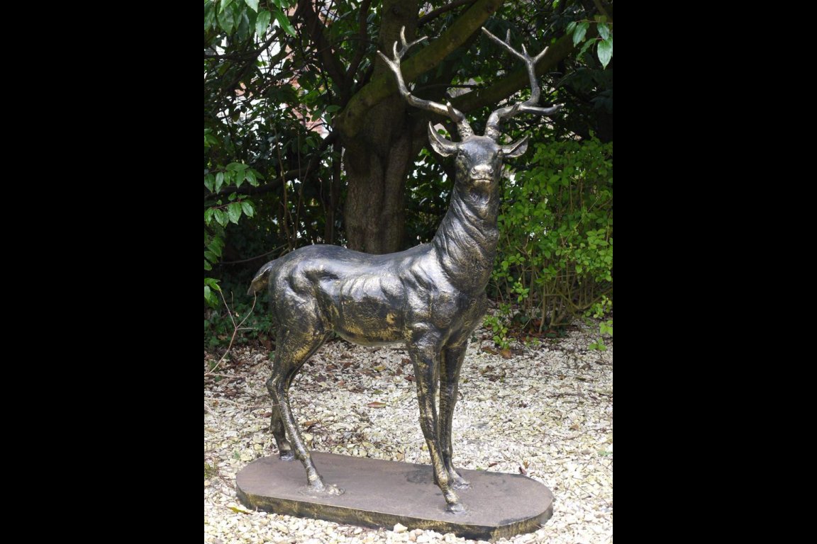 Stag (Looking Left)