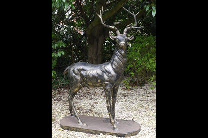 Stag (Looking Left)