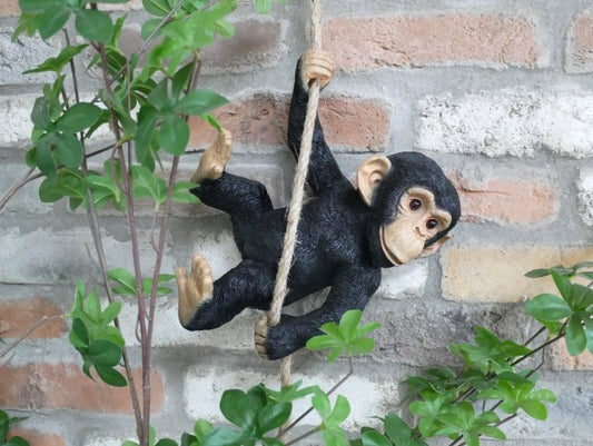 Swinging Monkey