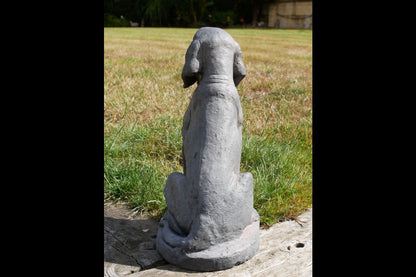 Sitting Dog