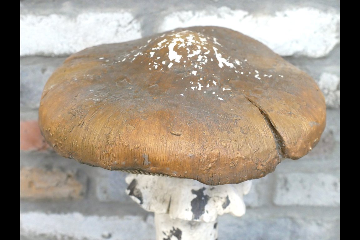 Mushroom
