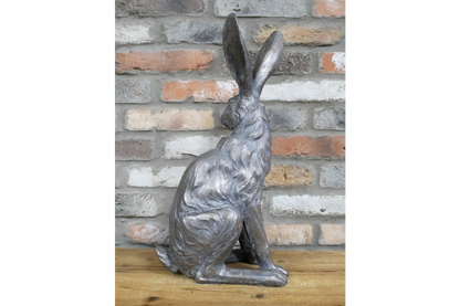 Sitting Rabbit