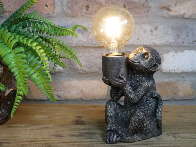 Monkey Light