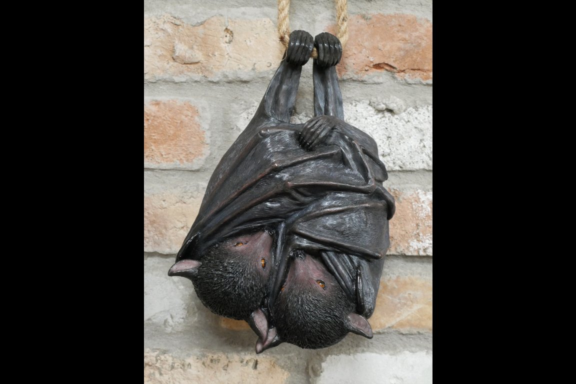Hanging Bats