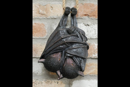 Hanging Bats