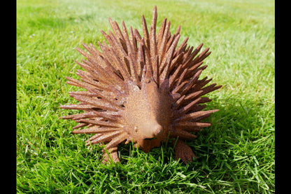 Rusty Hedgehog