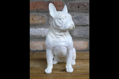 White Dog (Frenchie)