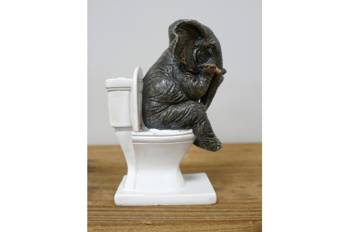 Elephant On The Loo
