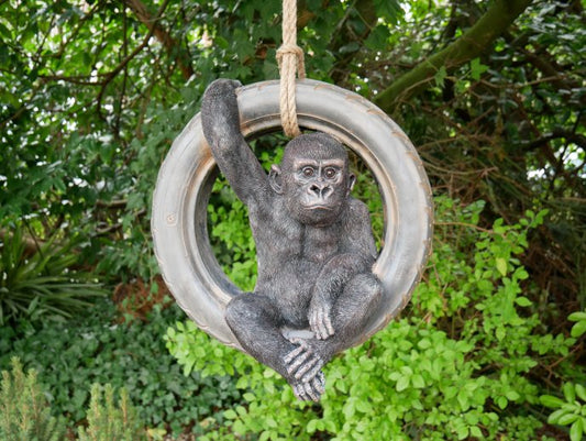Gorilla On Tyre Swing