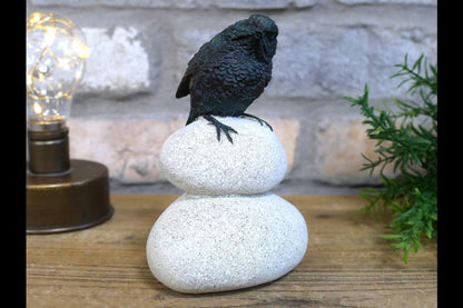 Bird Stood On Pebbles