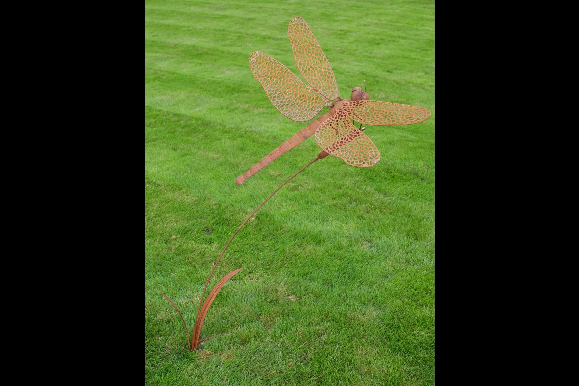 Rusty Dragonfly Stake