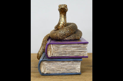 Snake On Spell Books