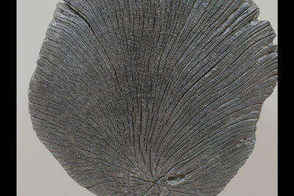 Black Wood Decoration
