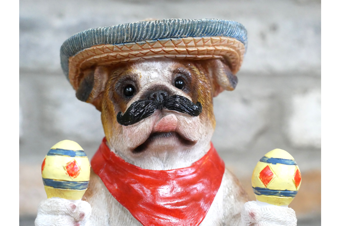 Mexican Bulldog