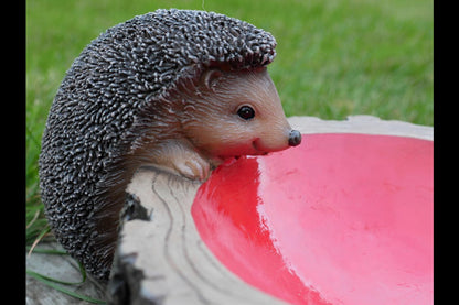 Hedgehog Feeder