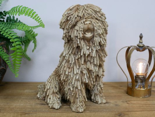 Sitting Shaggy Dog