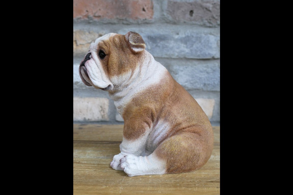 Bulldog