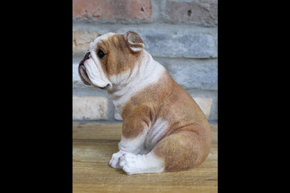 Bulldog