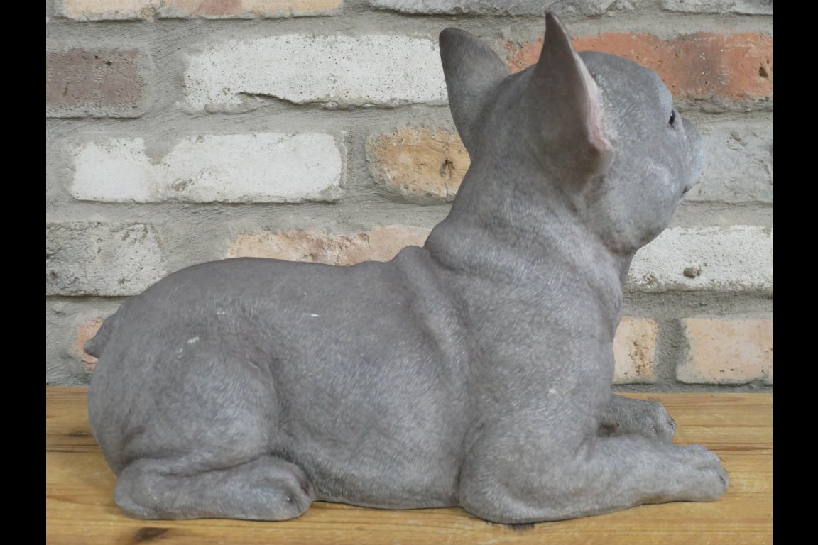 Laying Dog (Frenchie)