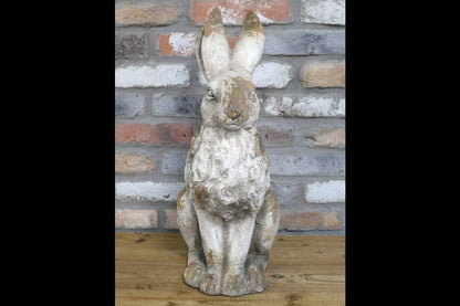 Sitting Rabbit