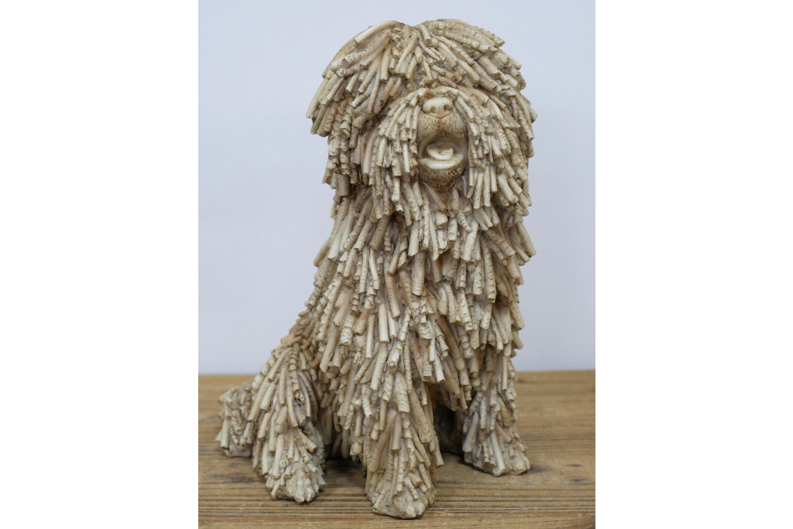 Sitting Shaggy Dog