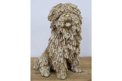 Sitting Shaggy Dog