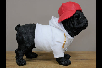 Dog With Cap