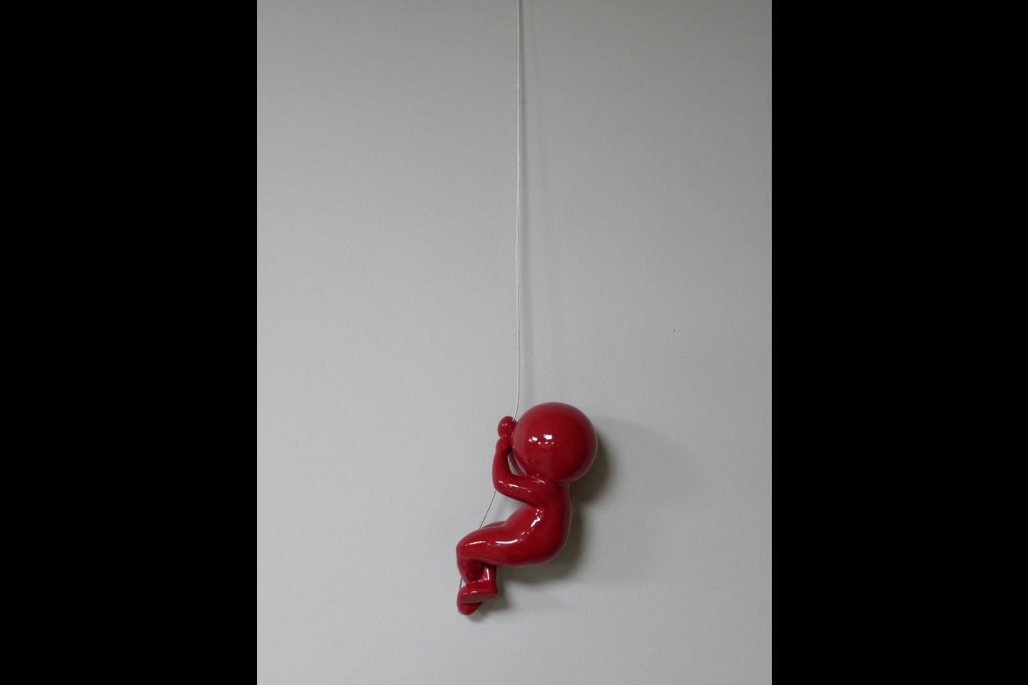 Abseiling Ball Head