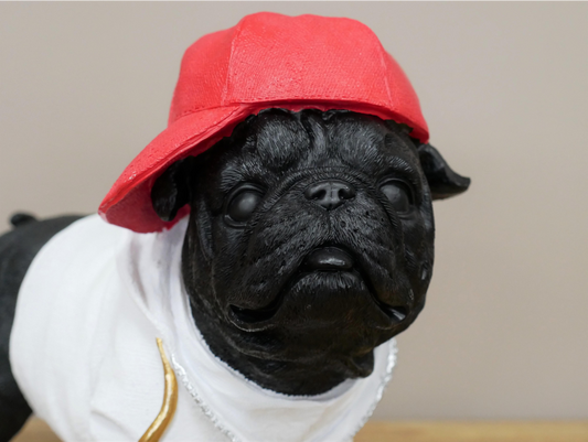 Dog With Cap