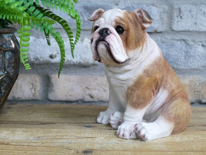 Bulldog