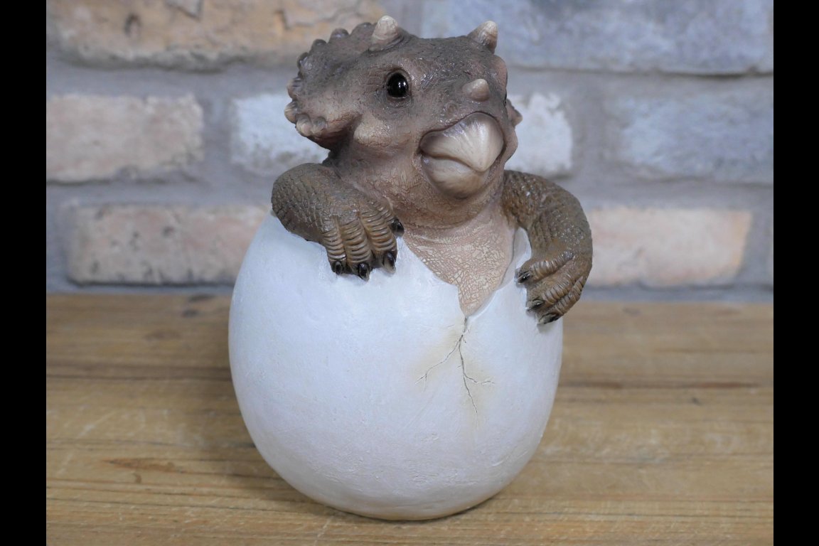 Dinosaur Egg