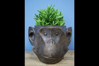 Monkey Head Planter
