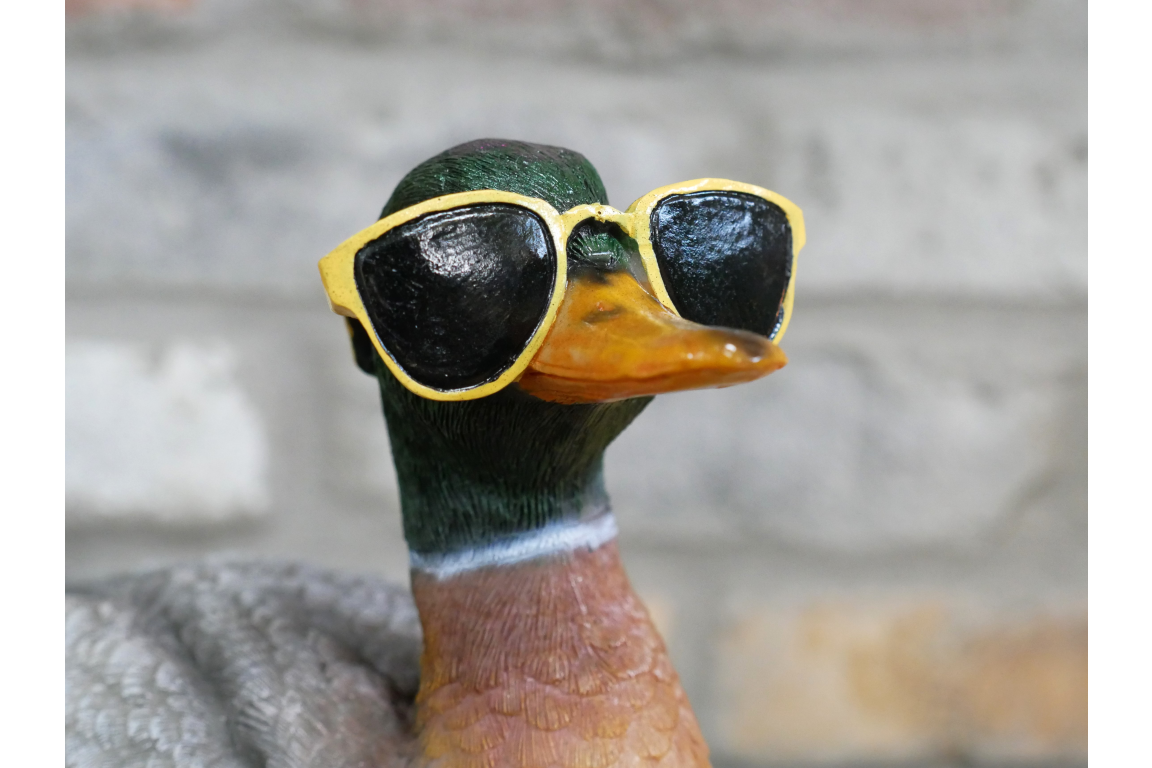 Duck In Shades