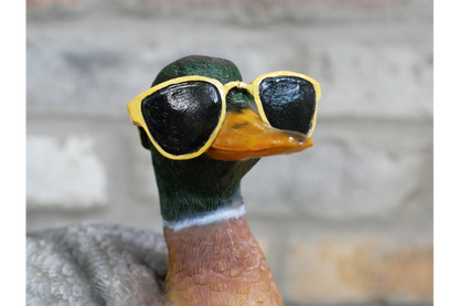 Duck In Shades