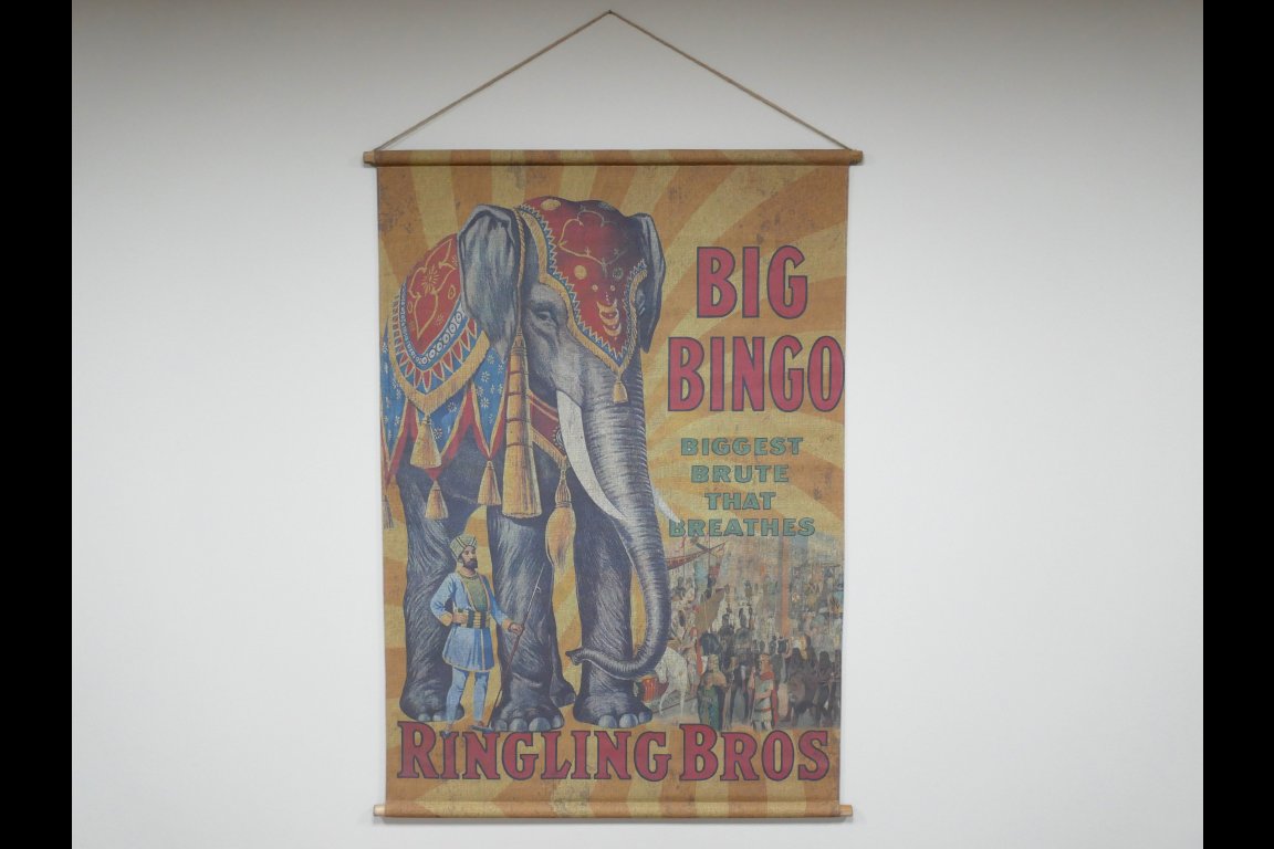 Canvas Wall Art - Elephant