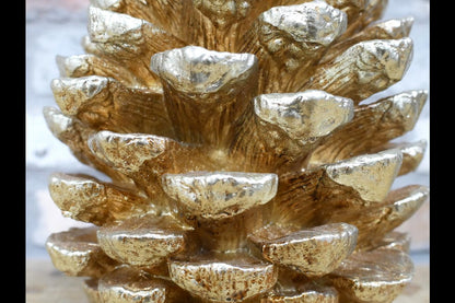 Giant Pinecone