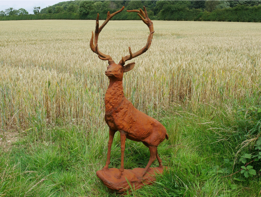 Rusty Stag