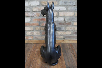Sitting Great Dane