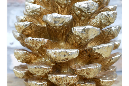 Giant Pinecone