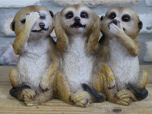 Three Meercats