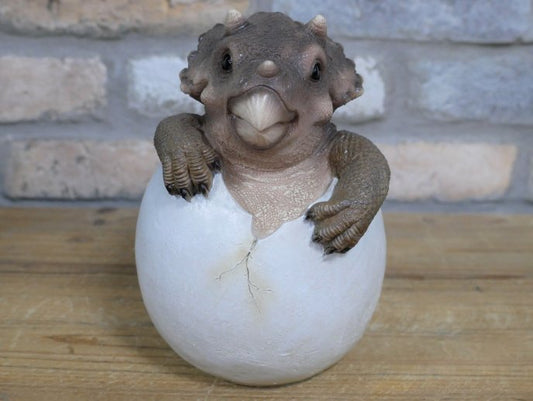 Dinosaur Egg
